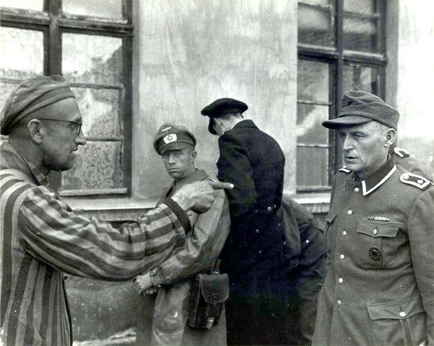 Liberation-of-Auschwitz.jpg.6ec97ab7ac8c299babca5387f24dce5a.jpg