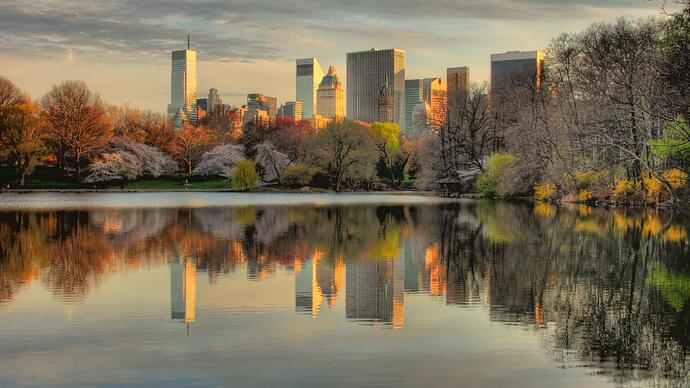 nature-landscapes-hdwallpaper-nyc-always-looks-best-from-central-park-hdr-new-york-wallpaper-trees-p-pe-design-landscaping-wallpapers-free-images-photography-ne.jpg.27c201adad897ddab0b63b0401ef1f7a.jpg