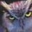 The_Owl